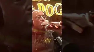 why Joe Rogan LOVES Cigars 🤔