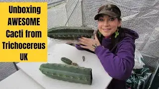 Unboxing AWESOME Cacti from Cactocereus.co.uk #cactus #cacti #unboxing