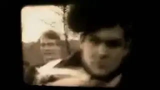 BRITISH SEA POWER - APOLOGIES TO INSECT LIFE