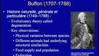 Evolutionary Thought (Part 1)
