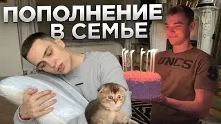 НЕОЖИДАННЫЕ НОВОСТИ. Влог из дома родителей. Новинки интерьера в моей СТАЛИНКЕ 30м2.