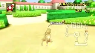 [MKW] DS Peach Gardens - 2:02.509 - Apolo (Bullet Bike BKT)