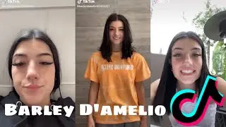 Barley D’amelio ( charli’s twin ) Tik Tok Compilation