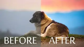 Sony A7 iii Test Video - Cinematic Color Grading 4K