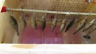 Закладка иваси в коптилку
