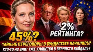 45% сказали НЕТ!: Алис Вайдель сделала ЭТО и поставила НА УШИ весь Евросоюз!