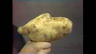 Émission Un Monde en Folie 1982. Énorme Pomme de Terre .