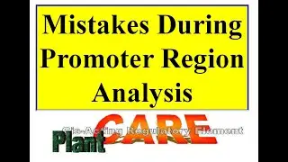 Error in Promoter region analysis