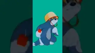 Tom And Jerry Cartoon Green Screen Background || Tom Jerry Free Copyright