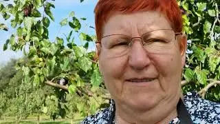 МОЙ ЛЮБИМЫЙ САД,ФРУКТОВАЯ ПЛАНТАЦИЯ! | 