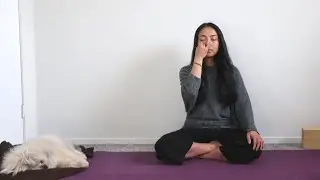 take it easy | 20 minute yin yoga + pranayama