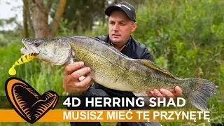 💥 MUSISZ TO MIEĆ gdy ŁOWISZ SZCZUPAKI i SANDACZE ! 4D HERRING SHAD - WĘDKARSTWO 💥
