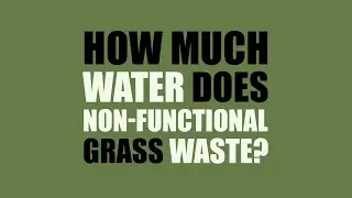 How much water is wasted on grass?
