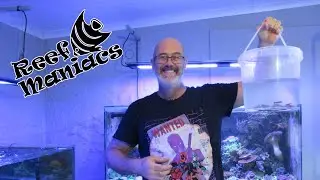 Unboxing Our First Fish Shipment of 2023 from Indo