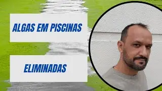 Algas na Piscina | Águanox