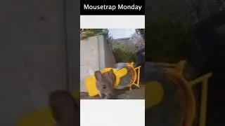 3D Printed Pop Bottle "Mouse Go Free" Mousetrap