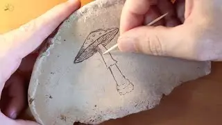 Drawing mushrooms on Artist's Bracket