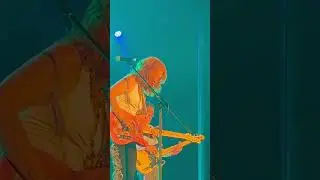 QUEENBEE #texasshuffle #bluesine #groovin #texasblues