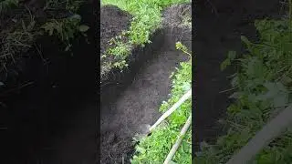 До просветления руби дрова,носи воду, и после просветления- руби дрова, носи воду.Будда.