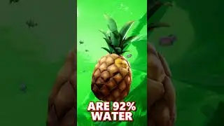 THE BEST FOOD 