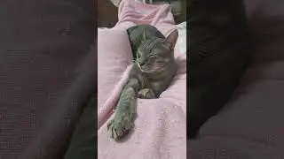 #одессамама