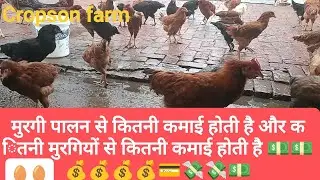 मुरगी पालन से कितनी कमाई होती है | Income from poultry farm