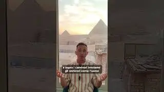 La PIRAMIDE BIOLOGICA (piramide trofica)
