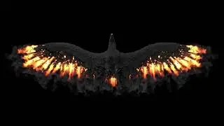 2024 Visualization Houdini Educational Reel