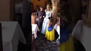 Fan #disney #disneyland #princesses