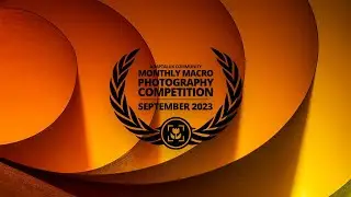 Macro Photography Competition [SEPTEMBER 2023]