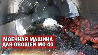 Моечная машина для овощей (картофеля, свеклы, моркови)
