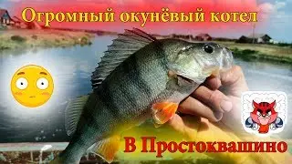 Огромный окуневый котел в Простоквашино.