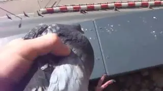 Кто блять наделал
