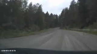 Ебать, Лось