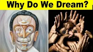 Finally We Know Why We Dream!