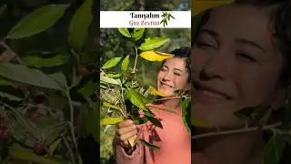 Tanışalım Güz Zeytini 🌿