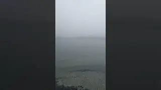 Foggy Morning by the Shore in Maine🌊🐚🩴