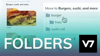Folders - V7 AI Academy