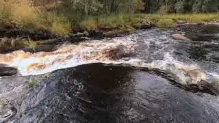 Kävely Karjalankoskelle Vetelissä / A walk to Karjalankoski at Veteli (Binaural audio)