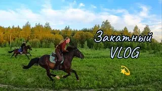 ГАЛОП в поле на ЗАКАТЕ 🐎 | КоноVLOG