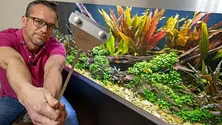 AQUASCAPE MAINTENANCE MADE EASY