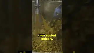 How It's Made  | BEER    #beer #how it's made