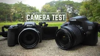 Canon 1500d vs nikon b700 | Camera Test! | Vlog #90