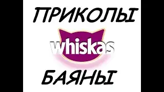 ПРИКОЛЫ БАЯНЫ №1 - ВИСКАС
