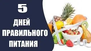 5 дней правильного питания, вариант меню