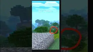 Null sighting Minecraft #minecraft #shorts #viral