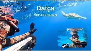Spearfishing in Datça Palamutbükü and a Surprise Encounter with a Caretta Caretta