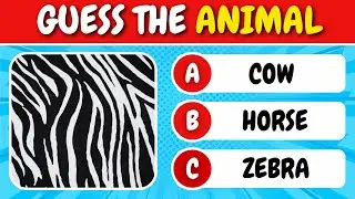Guess The Animal By Their Skin