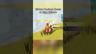 2 hidden chests 