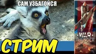 War Thunder Горящие стулья Стрим e0548 RA7581